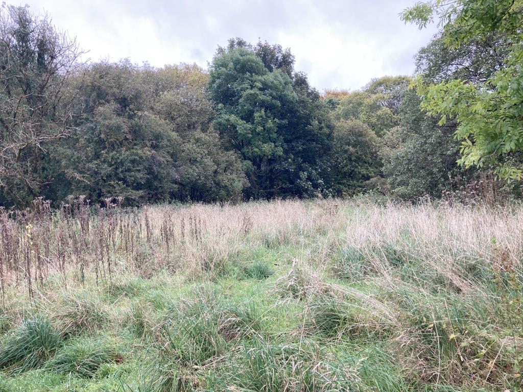 Lot: 29 - LAND WITH DEVELOPMENT POTENTIAL - Example view of the land